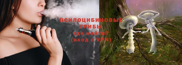 соль ск Алзамай