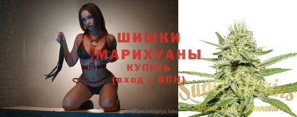 соль ск Алзамай