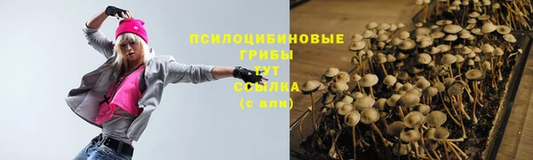 бутират Гусев