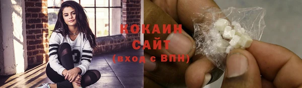 соль ск Алзамай