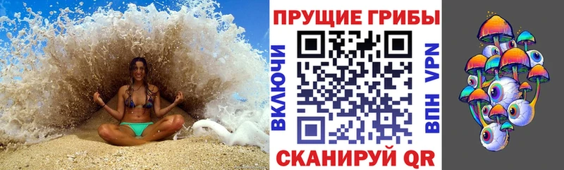 Псилоцибиновые грибы Psilocybe  Санкт-Петербург 